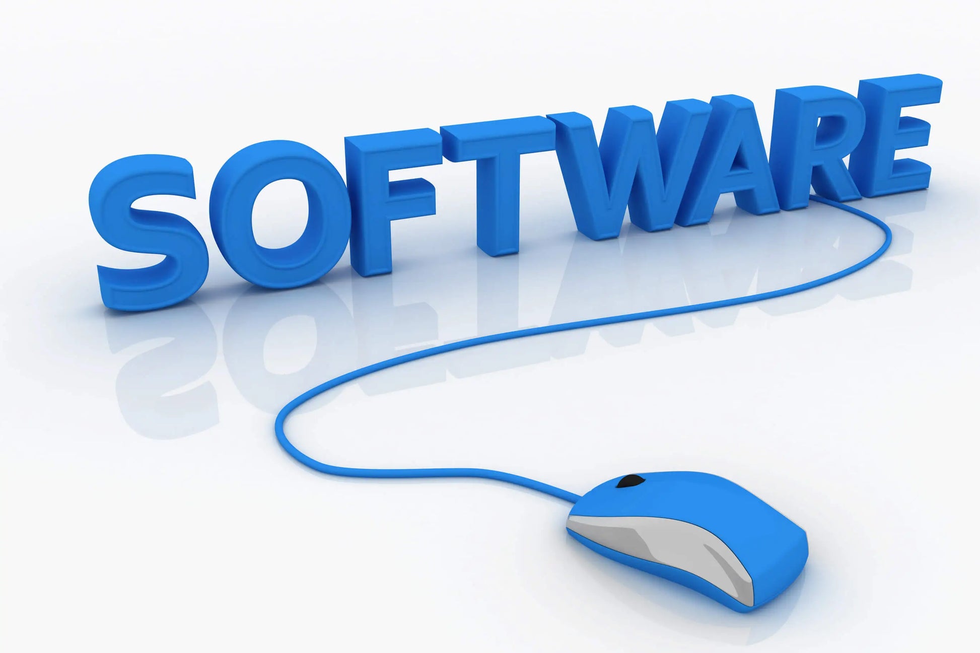 Software Development